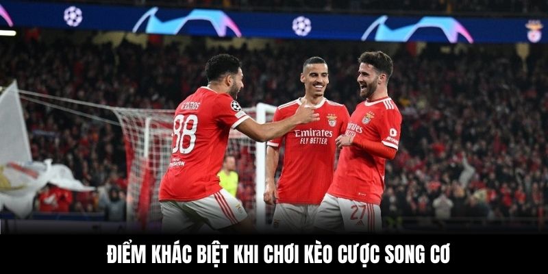 Điểm khác biệt khi chơi kèo cược song cơ