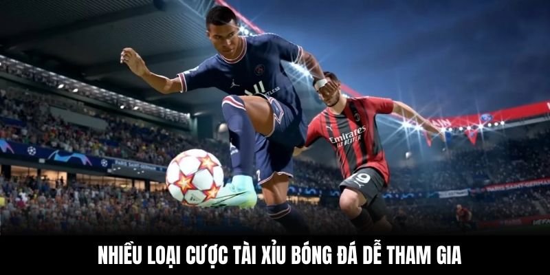 Nhiều loại cược Tài Xỉu bóng đá dễ tham gia