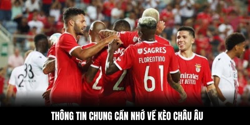 Thông tin chung cần nhớ về kèo châu Âu